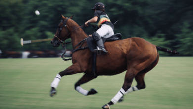 How do polo players communicate and coordinate during a match?