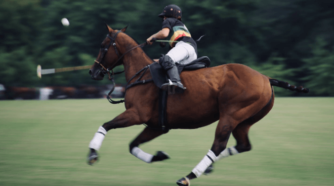 How do polo players communicate and coordinate during a match?