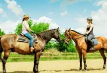 How does western riding differ from English riding in terms of technique and equipment?