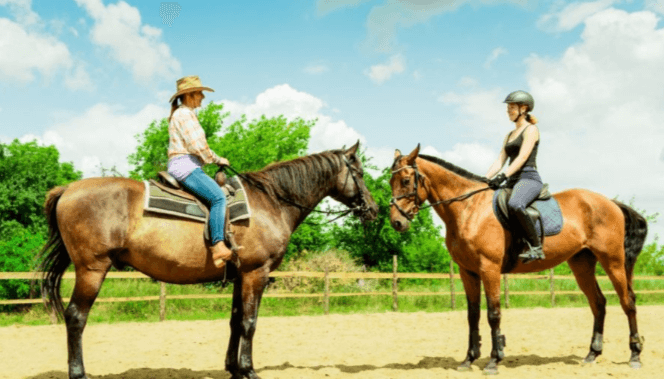 How does western riding differ from English riding in terms of technique and equipment?