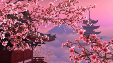 Aesthetic:845ksmqrr10= Cherry Blossom