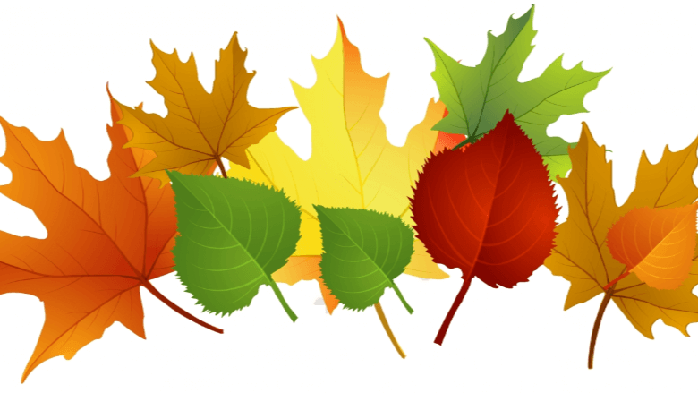 Clip Art:5oesxuispmg= Fall Leaves