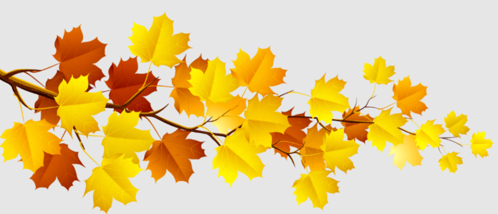 Clip Art:5oesxuispmg= Fall Leaves