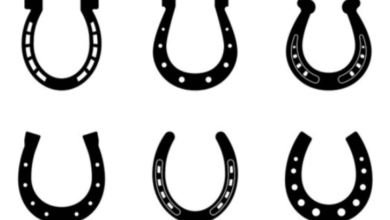 Clip Art:5wgwdepwzaa= Horse Shoe