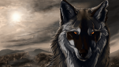 Animated:7qk_Fcwuble= Wolf Gif