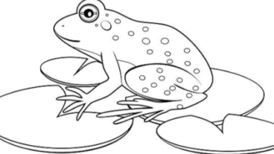 Outline:3ygtd0celne= Frog Drawing