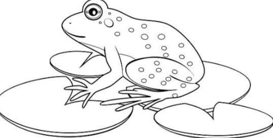 Outline:3ygtd0celne= Frog Drawing