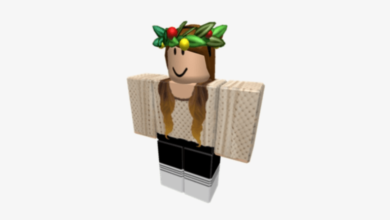 Transparent:Lovn-K4yboc= Girl:Mdra8eaghhg= Roblox